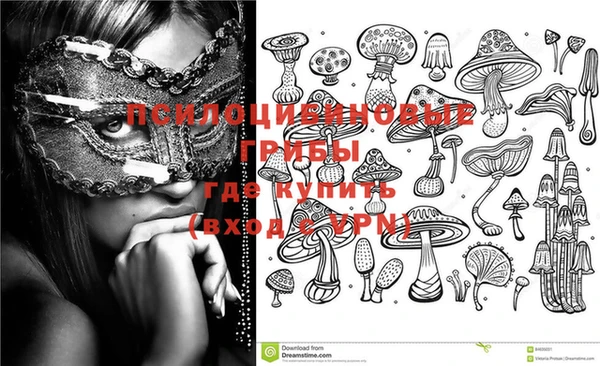 меф Няндома