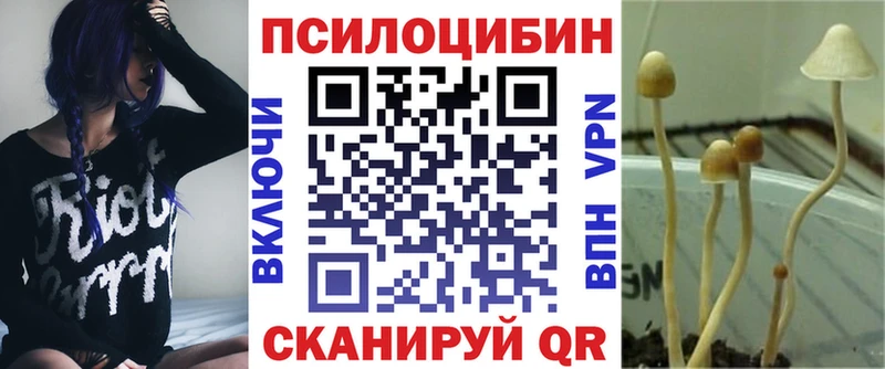 Псилоцибиновые грибы мухоморы  Купить закладки  Новочеркасск 
