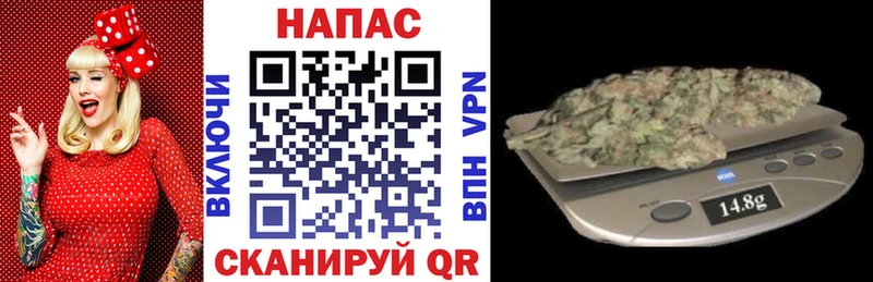 Каннабис Amnesia  Купить закладки  Новочеркасск 